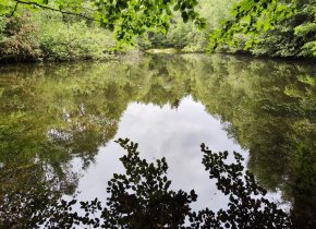 Analýza rizik u obce Houžná na Šumavě