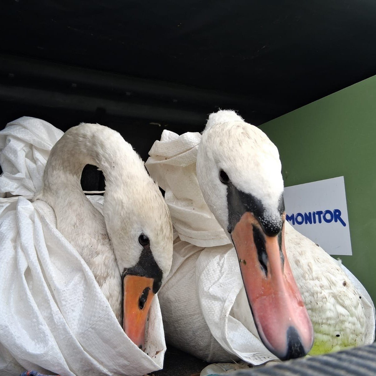 Vyrábíme klece a přenosné boxy pro záchranné stanice