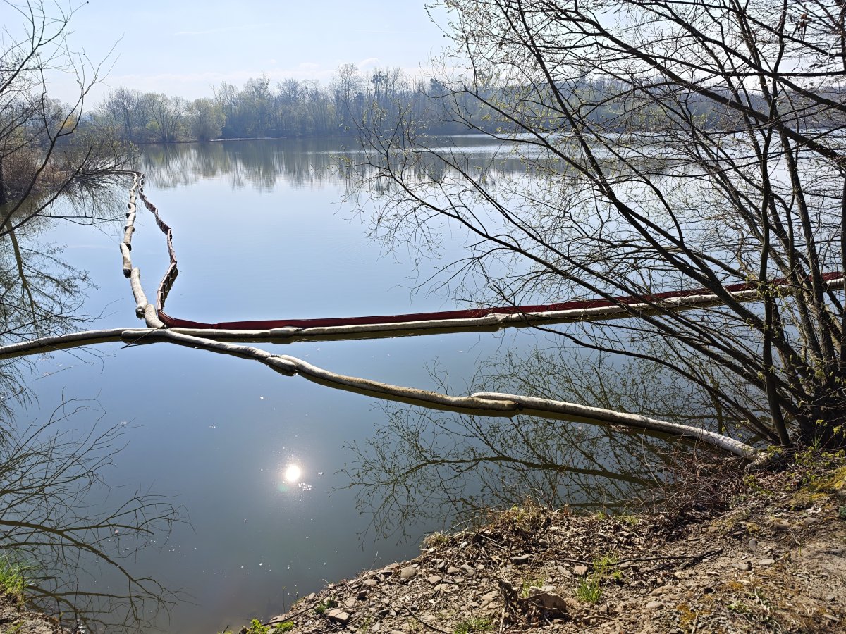 Dnes se oslavuje Den Země