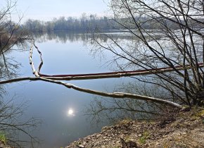 Dnes se oslavuje Den Země