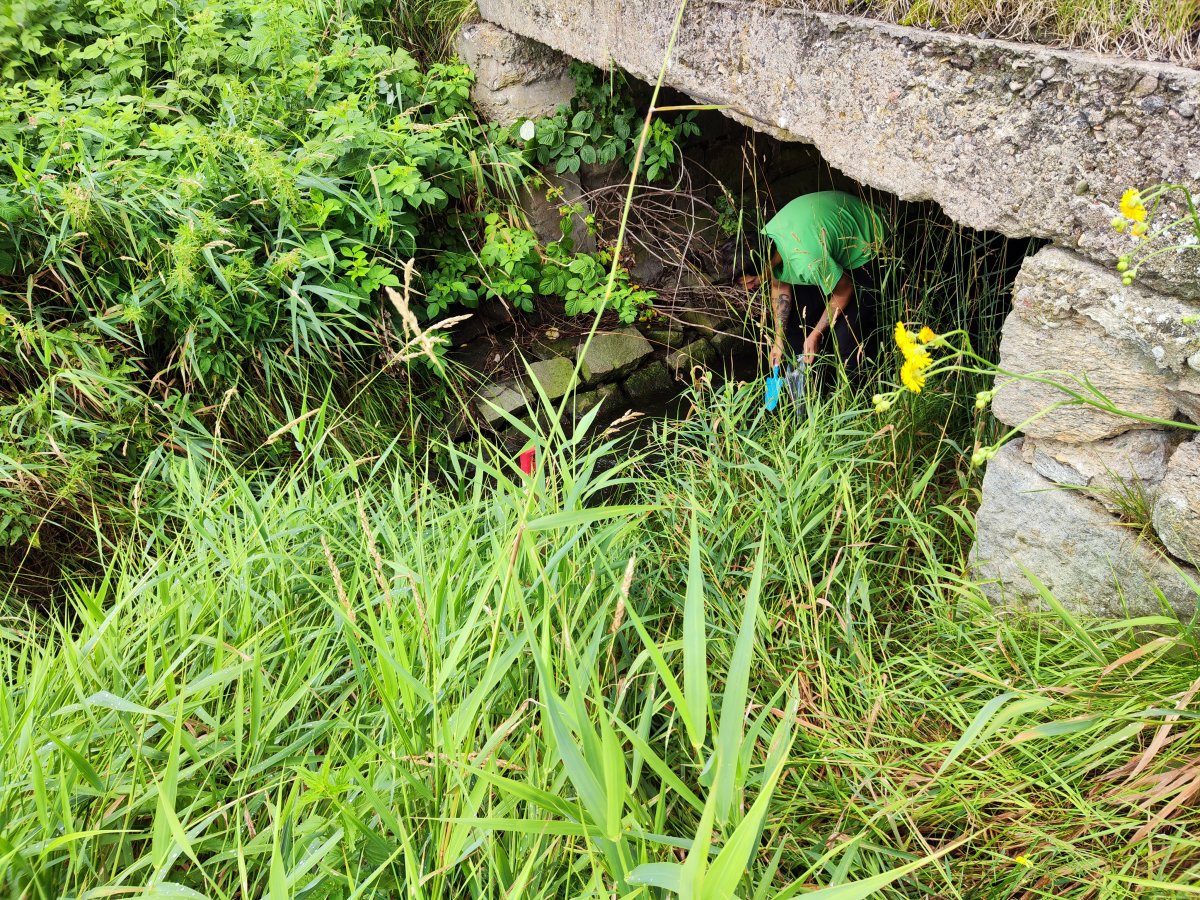 Monitoring dnových sedimentů a povrchových vod Králického potoka a Tiché Orlice