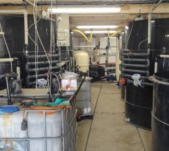 Odborný řešitel ekologických projektů